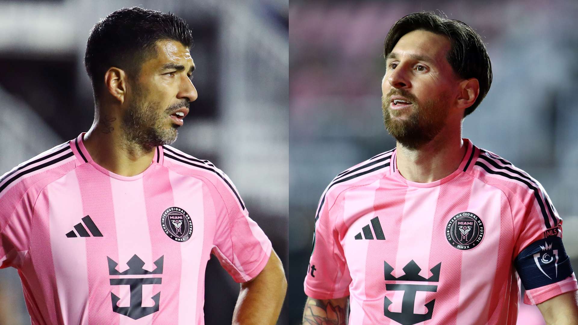 大多数球迷 大多数球迷